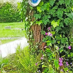 Mirguet Au Jardin , Saint-Elix-le-Chateau France